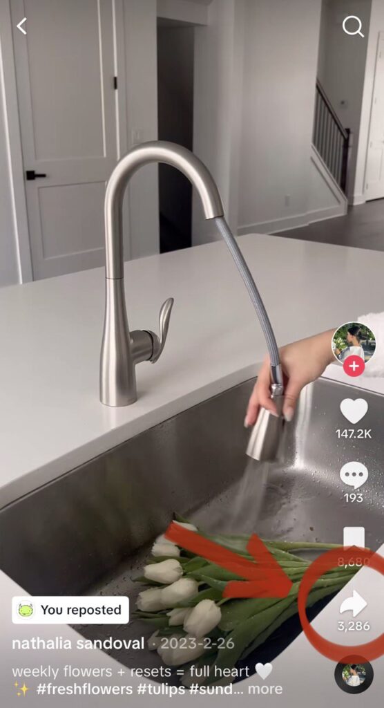 How to undo a repost on TikTok How to Repost and Undo Repost on TikTok in 2024