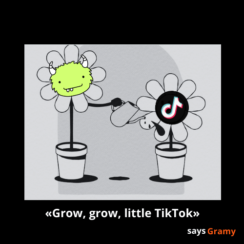 Grow, grow liitle TikTok How Many Followers You Need To Get Paid On TikTok in 2024