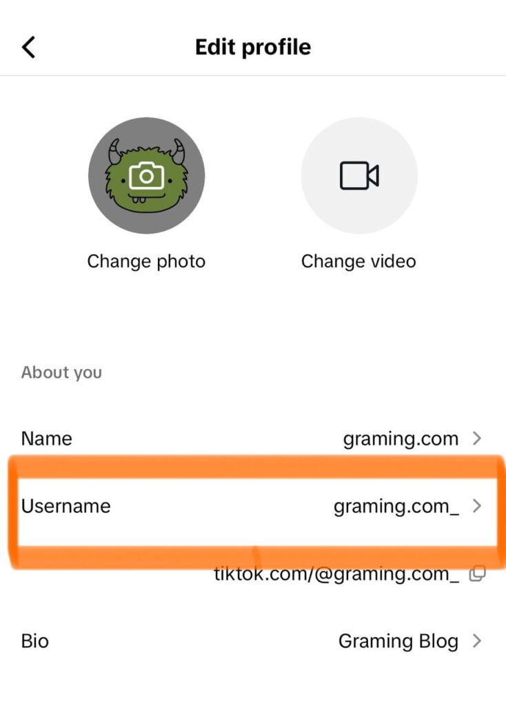 Changing Your TikTok Username How to Change TikTok Username Step-by-Step Guide