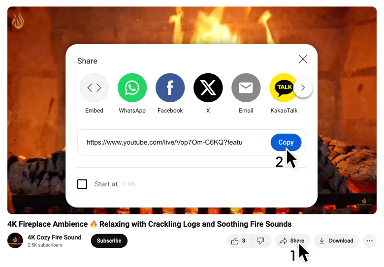 YouTube Video Downloader 1 timeline image